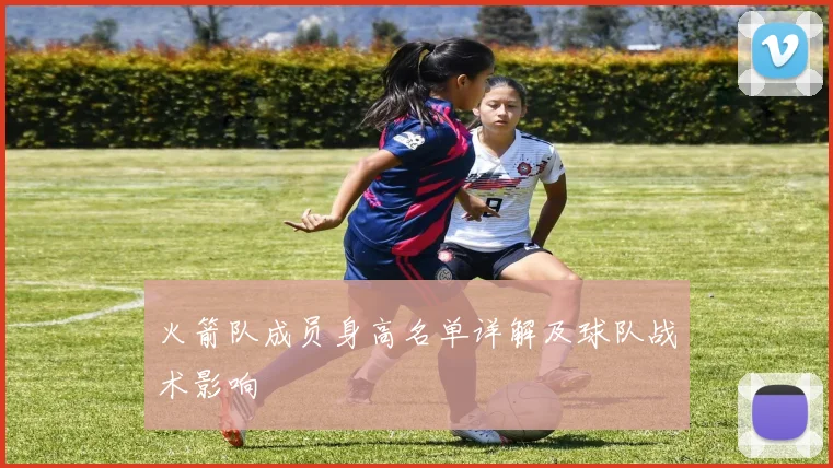 火箭队成员身高名单详解及球队战术影响