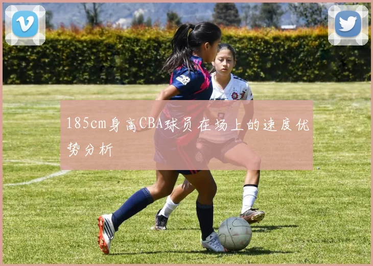 185cm身高CBA球员在场上的速度优势分析